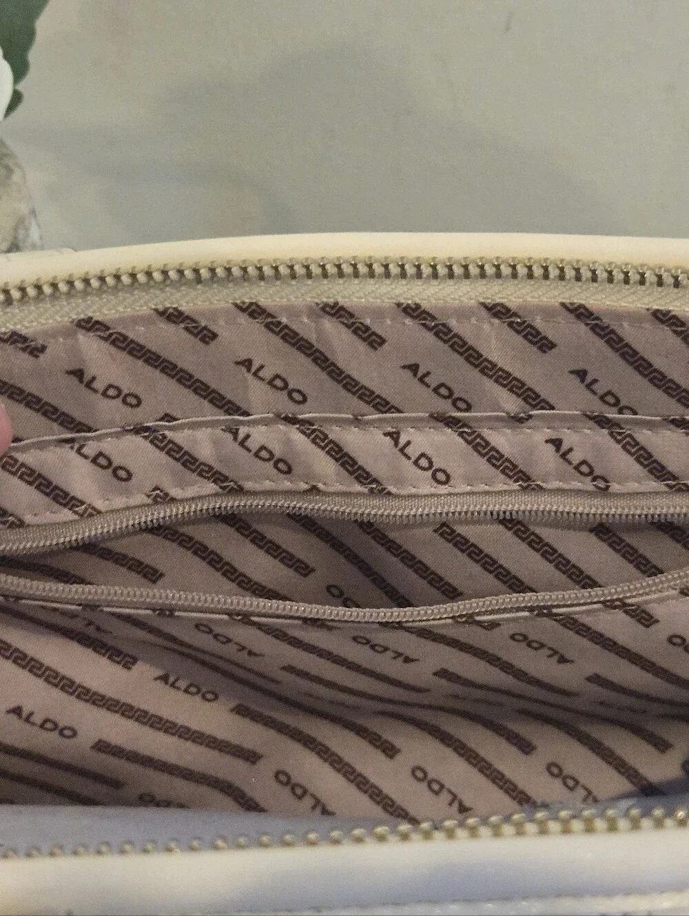 ALDO Lazarosx Bag